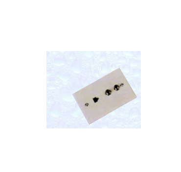 img of JL52027